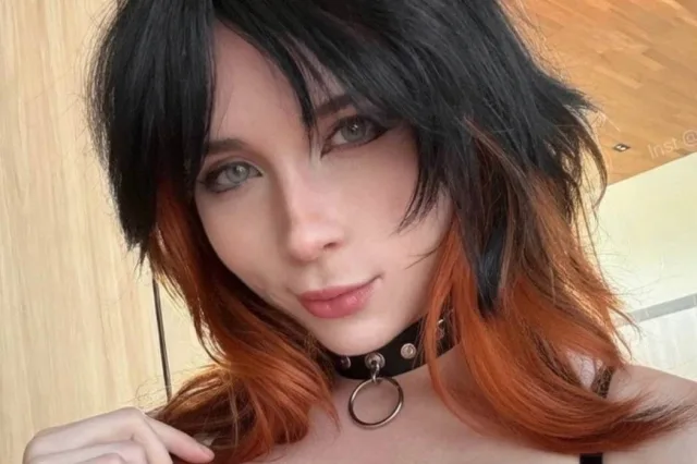 Sweetie Fox