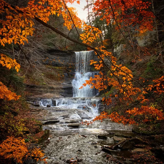 Autumn Falls