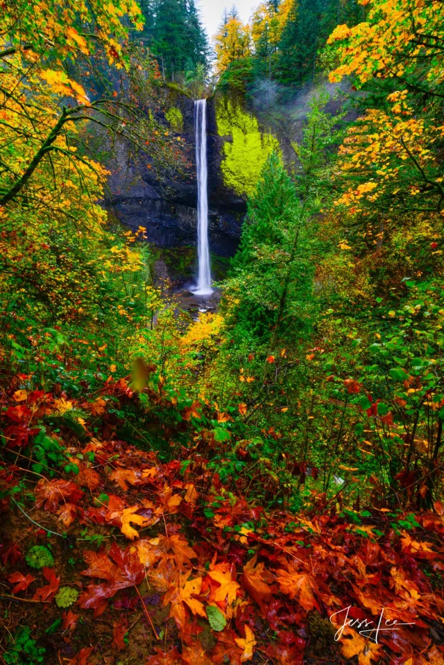 Autumn Falls